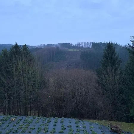 Appartement Terrasses De Malmedy Connecto Duplex 435 En 436