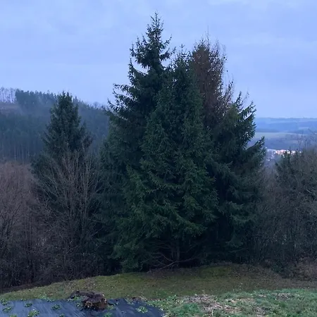 公寓 Terrasses De Connecto Duplex 435 & 436 En 336